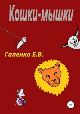 Елена Галенко Кошки-мышки обложка книги