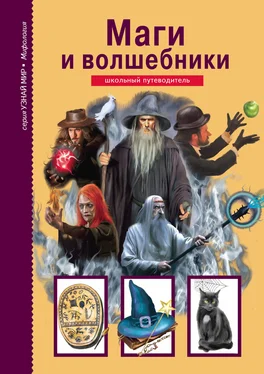 Юлия Дунаева Маги и волшебники обложка книги