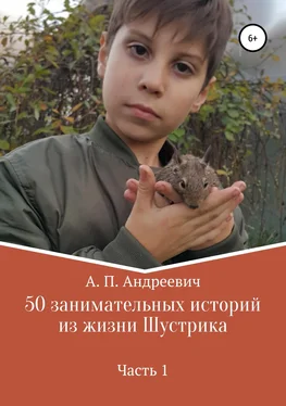 Надежда Петрова 50 занимательных историй из жизни Шустрика обложка книги