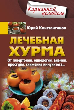 Юрий Константинов Лечебная хурма. От гипертонии, онкологии, анемии, простуды, снижения иммунитета… обложка книги