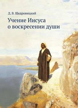 Дмитрий Щедровицкий Учение Иисуса о воскресении души обложка книги