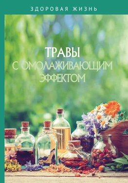 Сборник Травы с омолаживающим эффектом обложка книги