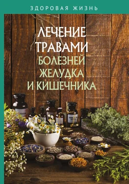 Сборник Лечение травами болезней желудка и кишечника обложка книги