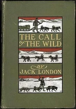 Jack London The Call of the Wild обложка книги