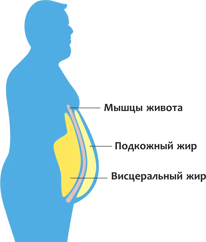 После проведения биоимпедансометрии Биоимпедансометрия исследование - фото 1
