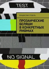 Владислав Стебель - Прозаические беляши в конкретных рифмах