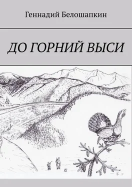 Геннадий Белошапкин До горний выси обложка книги