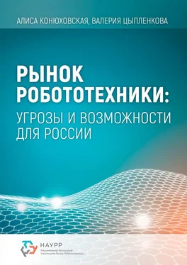 Валерия Цыпленкова Рынок робототехники: угрозы и возможности для России обложка книги
