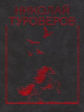 Николай Туроверов «Возвращается ветер на круги свои…». Стихотворения и поэмы