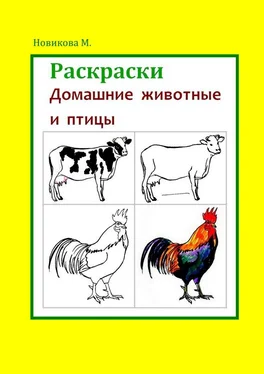 Марина Новикова Раскраски. Домашние животные и птицы обложка книги