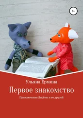 Ульяна Ермина - Приключения Лисены и ее друзей. Первое знакомство