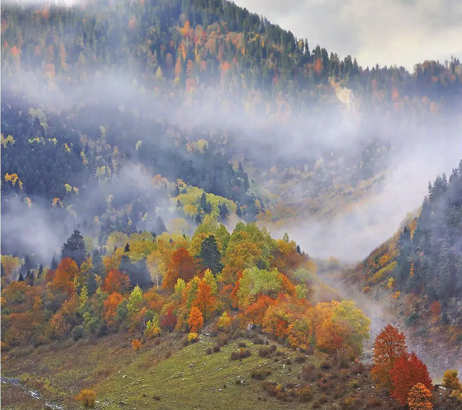 Природа Кавказа Кавказ расположен на стыке нескольких крупных природных - фото 2