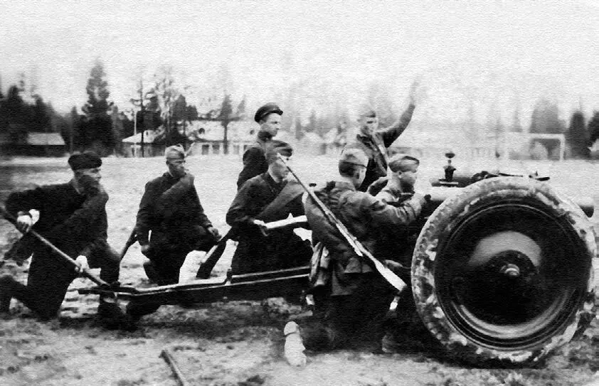 Мы дрались против Тигров Главное выбить у них танки - фото 38