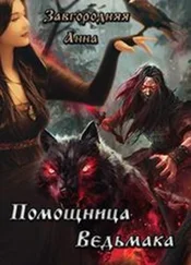 Анна Завгородняя - Помощница ведьмака. Книга 1