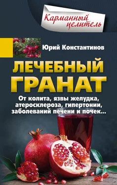 Юрий Константинов Лечебный гранат. От колита, язвы желудка, атеросклероза, гипертонии, заболеваний печени и почек… обложка книги