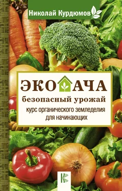 Николай Курдюмов Экодача – безопасный урожай. Курс органического земледелия для начинающих обложка книги