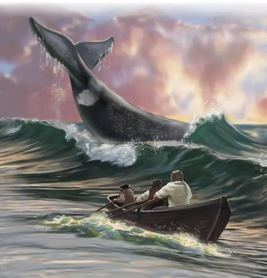 Юлия Дунаева Дельфины и киты Киты дельфины и человек относятся к одному - фото 1