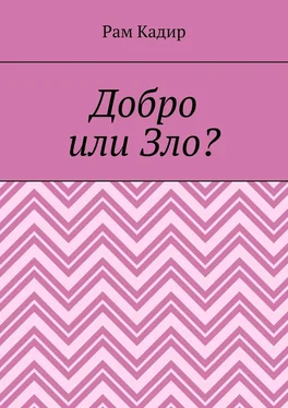 Рам Кадир Добро или Зло? обложка книги