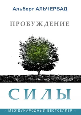 Альберт Альчербад Пробуждение Силы. Международный бестселлер обложка книги