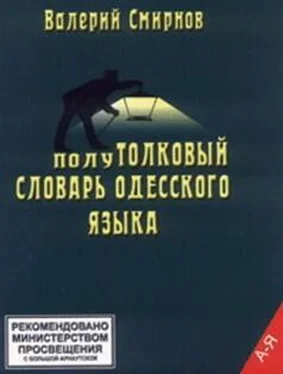 Валерий Смирнов ПолуТОЛКОВЫЙ словарь одесского языка обложка книги