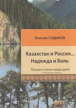 Вильям Садыков Казахстан и Россия… Надежда и Боль обложка книги