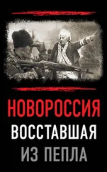 Array Авторский коллектив - Новороссия. Восставшая из пепла