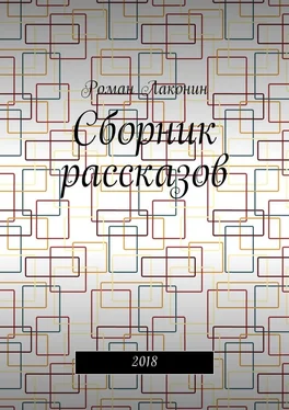 Роман Лаконин Сборник рассказов. 2018 обложка книги