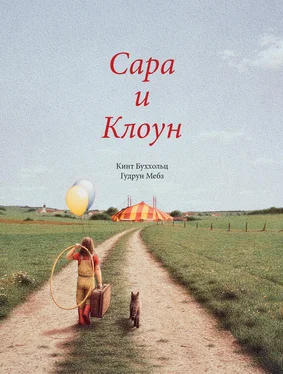 Гудрун Мебз Сара и клоун обложка книги