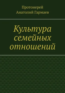 Анатолий Гармаев Культура семейных отношений обложка книги