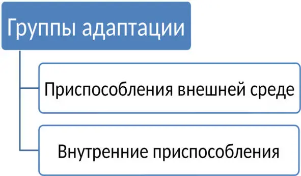 Рисунок 4 Группы адаптации по Г Тарду В трудах отечественных - фото 5