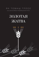 Ирена Грудзиньская-Гросс - Золотая жатва. О том, что происходило вокруг истребления евреев