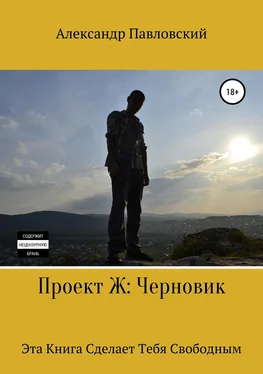 Александр Павловский Проект Ж. Черновик обложка книги