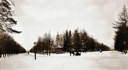 Петровский парк зимой Фотография и фототипия ПП Павлова 1890е гг В - фото 5