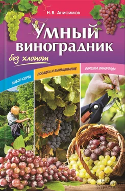 Николай Анисимов Умный виноградник без хлопот обложка книги