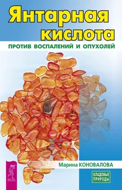 Марина Коновалова Янтарная кислота против воспалений и опухолей обложка книги