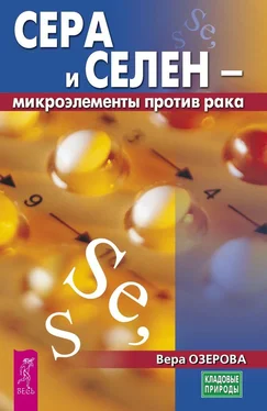 Вера Озерова Сера и селен – микроэлементы против рака обложка книги