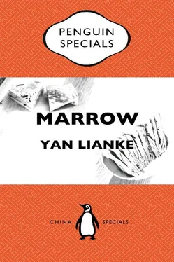 Yan Lianke Marrow обложка книги