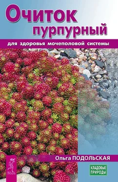Ольга Подольская Очиток пурпурный для здоровья мочеполовой системы обложка книги
