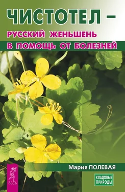 Мария Полевая Чистотел – русский женьшень в помощь от болезней обложка книги