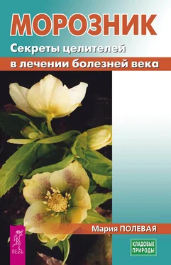 Мария Полевая Морозник. Секреты целителей в лечении болезней века обложка книги