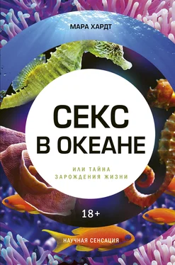 Мара Хардт Секс в океане или Тайна зарождения жизни обложка книги