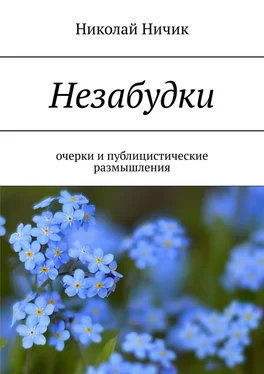 Николай Ничик Незабудки. Очерки и публицистические размышления обложка книги