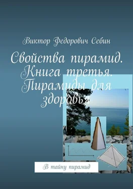 Виктор Себин Свойства пирамид. Книга третья. Пирамиды для здоровья. В тайну пирамид обложка книги