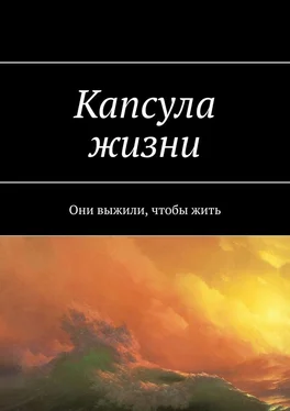 Ярослав Архипов Капсула жизни. Они выжили, чтобы жить обложка книги