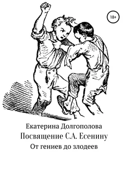 Екатерина Долгополова Посвящение С.А. Есенину обложка книги