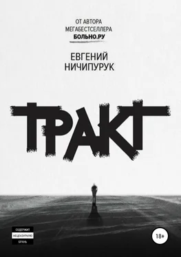 Евгений Ничипурук Тракт обложка книги