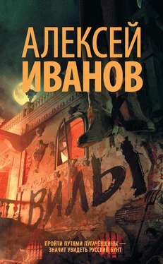 Алексей Иванов Вилы обложка книги