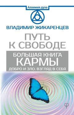 Владимир Жикаренцев Большая книга Кармы. Путь к свободе. Добро и Зло. Взгляд в себя обложка книги