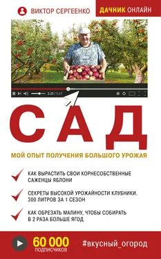 Виктор Сергеенко Сад. Мой опыт получения большого урожая обложка книги