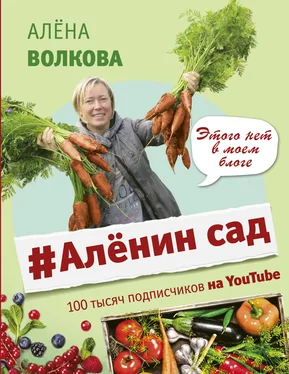 Алёна Волкова #Аленин сад обложка книги